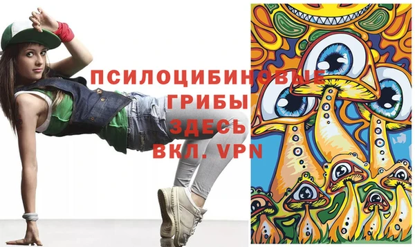 бошки Алексин