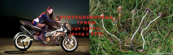 экстази Алексеевка