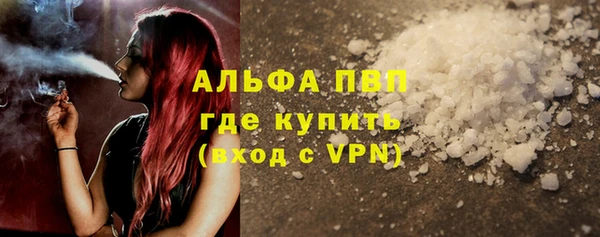дурь Няндома